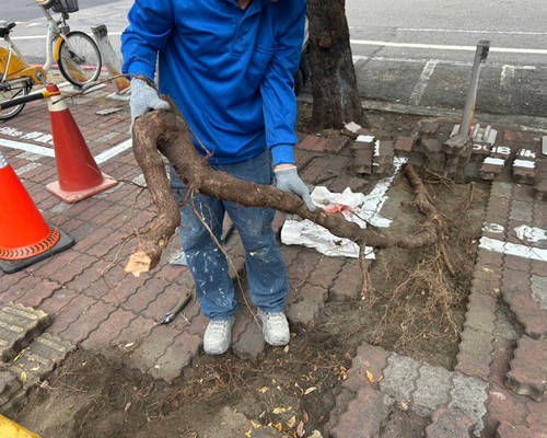 屏東連鎖磚工程, 屏東連鎖磚鋪設, 屏東連鎖磚價格, 屏東人行道修補, 屏東步道磚修復, 屏東人行道舖設, 屏東鋪設人行道, 屏東地磚鋪設, 屏東土木工程