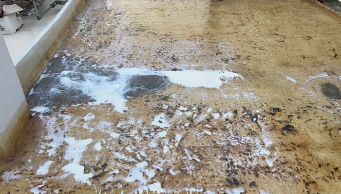 屏東防水工程費用怎麼算？, 屏東屋頂防水工程價格, 屏東屋頂防水施工推薦, 屏東屋頂防水可以撐多久？, 屏東頂樓防水施工價格?, 
						屏東地板玻璃韱維防水, 屏東抓漏防水防漏, 屏東地板防水工程, 屏東屋頂防水隔熱, 屏東抓漏防水, 屏東抓漏防水工程