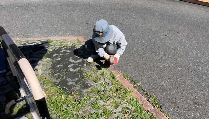 屏東植草磚整修鋪設工程, 屏東連鎖磚整修鋪設工程, 屏東步道磚鋪設, 屏東連鎖磚, 屏東人行道磚, 屏東連鎖磚舖設, 屏東人行道鋪設 , 屏東連鎖磚施工, 屏東人行道施作
